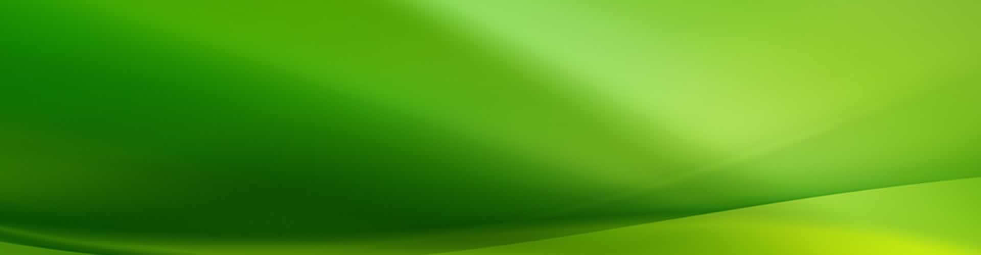Fondo verde ecologico